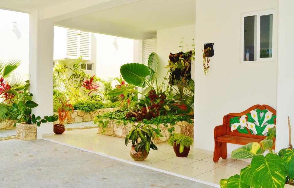 Corales Suites Puerto Morelos Exterior photo