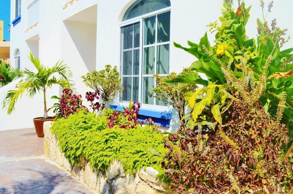 Corales Suites Puerto Morelos Exterior photo